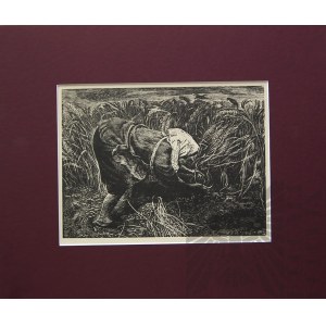 Konrad SRZEDNICKI (1894-1993), W polu, 1956