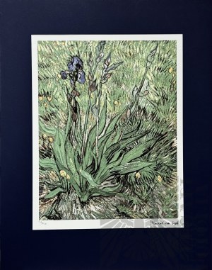 Vincent VAN GOGH (1853-1890), Irises, (1889)