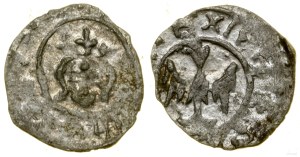 Poland, denarius, Cracow