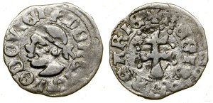 Poland, denarius, (1358-1366)