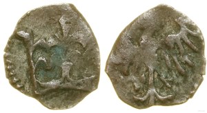Poland, crown denarius, Cracow
