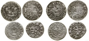 Poland, set of 4 Jagiellonian half-pennies