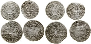 Poland, set of 4 Jagiellonian half-pennies