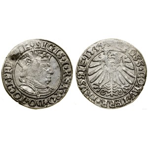 Polska, grosz, 1534, Toruń