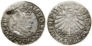 Poland, penny, 1534, Torun