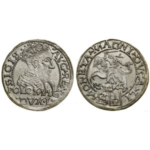 Polska, grosz na stopę polską, 1566, Tykocin
