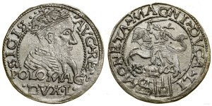 Poland, penny per Polish foot, 1566, Tykocin
