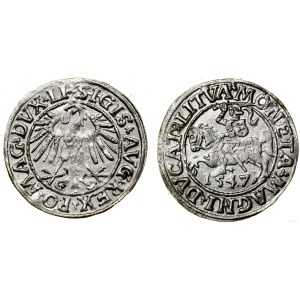 Polska, półgrosz, 1547, Wilno
