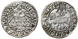 Poland, half-penny, 1547, Vilnius