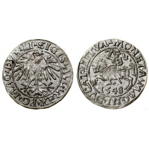 Polska, półgrosz, 1548, Wilno