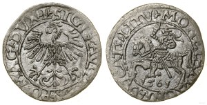 Poland, half-penny, 1561, Vilnius