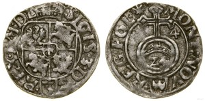 Poland, półtorak, 1614, Kraków