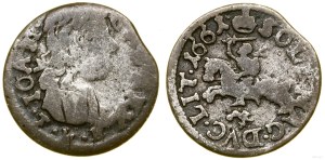 Poland, sheląg, 1661, Ujazów
