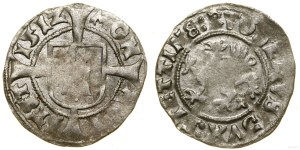 Pomerania, witten, 1512, Szczecin