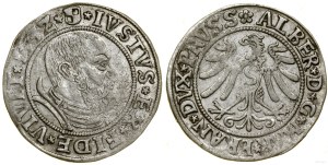 Ducal Prussia (1525-1657), penny, 1532, Königsberg