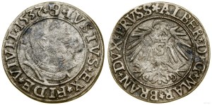 Ducal Prussia (1525-1657), penny, 1537, Königsberg