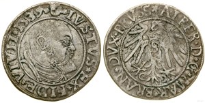 Ducal Prussia (1525-1657), penny, 1539, Königsberg
