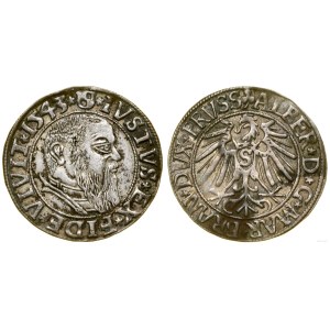 Prusy Książęce (1525-1657), grosz, 1543, Królewiec