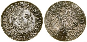 Ducal Prussia (1525-1657), penny, 1543, Königsberg