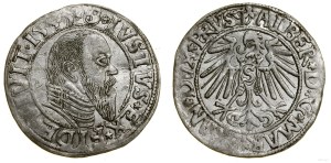 Ducal Prussia (1525-1657), penny, 1545, Königsberg
