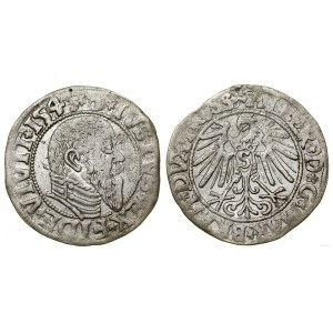Prusy Książęce (1525-1657), grosz, 1545, Królewiec