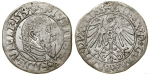 Ducal Prussia (1525-1657), penny, 1545, Königsberg