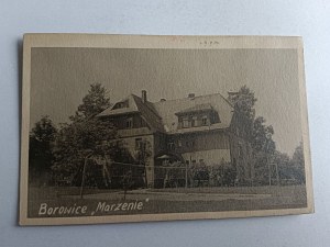 PHOTO BOROWICE DREAM, STAMP, STAMP