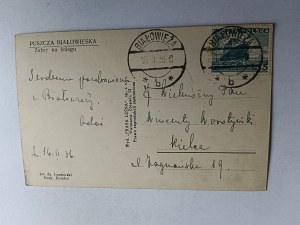 BELOVEZHSKAYA PUSZCZA BIAŁOWIESKA BISON, STAMP, STAMP, 1936, WYD FOREST PRESS
