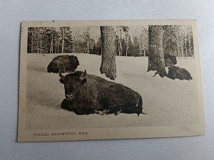 BELOVEZHSKAYA PUSZCZA BIAŁOWIESKA BISON, STAMP, STAMP, 1934