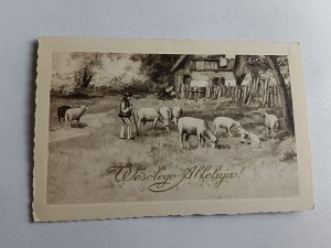 HOLIDAY POSTCARD EASTER HIGHLANDER SHEEP GRAZING 1936