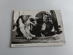 PICTURE MOVIE FOUR ARMORED AND A DOG, SHARIK