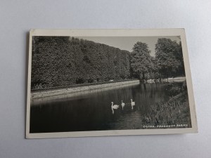 PHOTO OLIVA GDANSK PARK SWANS
