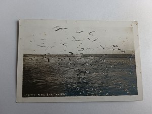 PHOTO BALTIC SEAGULLS, STAMP LIGHTHOUSE ROZEWIE STAMP STAMP
