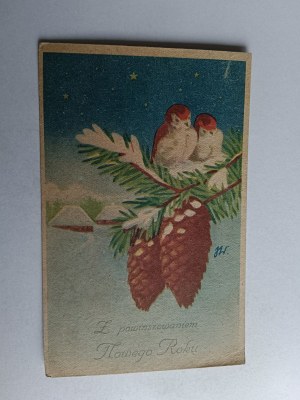 CHRISTMAS POSTCARD BIRDS, PINECONES