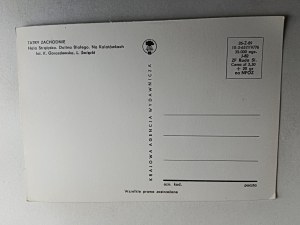 TATRA HALA STRĄŻYSKA