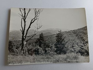 BIESZCZADY PANORAMA FROM THE SLOPE OF STUPOSIAŃSKA MAGURA
