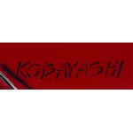 Kobayashi (geb. 1978), Nosferatu, 2025