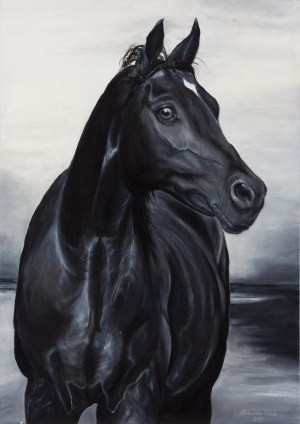 Aleksandra Wenda (b. 1990, Zlotow), 