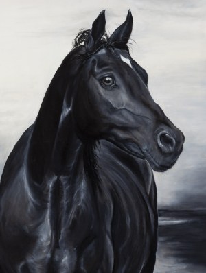 Aleksandra Wenda (b. 1990, Zlotow), 
