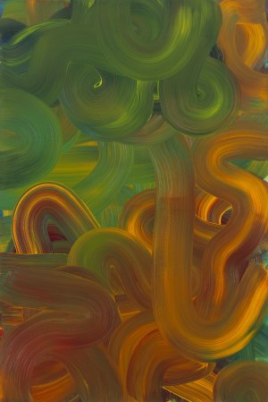 Dominik Smolik (b. 1982, Krakow), 