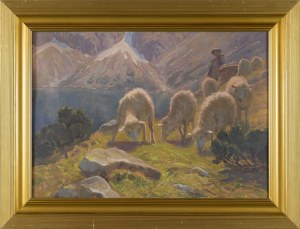 Zefiryn ĆWIKLIŃSKI (1871-1930), Highlander with sheep