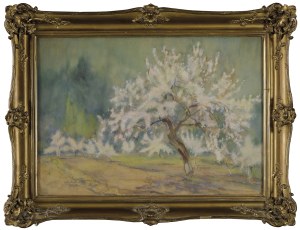 Antoni CHRZANOWSKI (1905-2000), Blossoming orchard