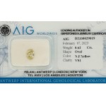 POLISHED NATURAL DIAMOND 0.59 LIGHT YELLOW -VS2 - IGI - UD30120-1