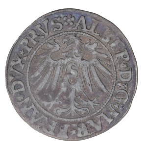 1533 penny. - Prussia, Albrecht Hohenzollern