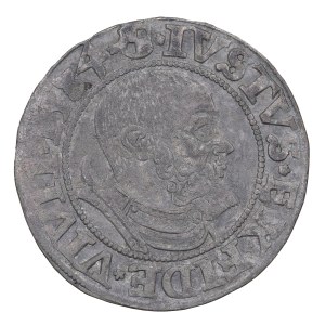 1534 penny. - Prussia, Albrecht Hohenzollern