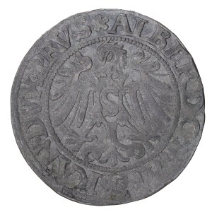 1534 penny. - Prussia, Albrecht Hohenzollern