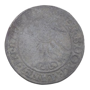 1542 penny. - Principality of Legnicko-Brzesko-Wołowski, Frederick II.