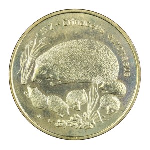 2 gold 1996, hedgehog