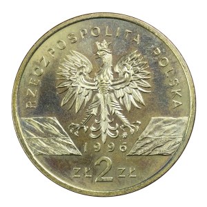 2 gold 1996, hedgehog