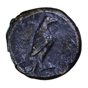 Brąz, IV w.p.n.e. Grecja Aeolis - Kyme